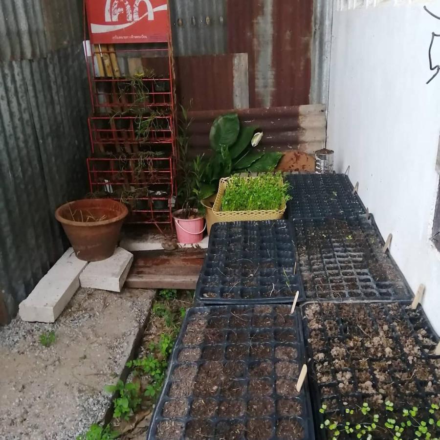 Chill Pill Hostel 清刊 外观 照片